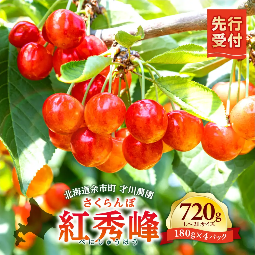 先行予約 パリッと食感のさくらんぼ 紅秀峰 720g L～2L 北海道余市産 さくらんぼ_Y168-0002