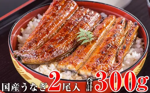 【丑の日用】国産うなぎ蒲焼き大サイズ2本セット(B1166-1) 