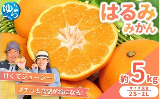 はるみ みかん 5kg S～4Lサイズ混合 / くだもの 甘い 柑橘 果物 和歌山 ※2027年2月上旬～2月中旬頃に順次発送予定【nktn013-r-5】