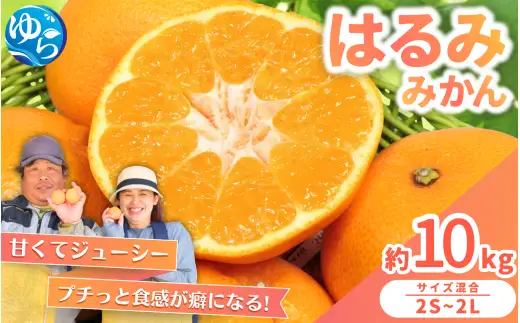 はるみ みかん 10kg S～4Lサイズ混合 / くだもの 甘い 柑橘 果物 和歌山 ※2027年2月上旬～2月中旬頃に順次発送予定 【nktn013-r-10】