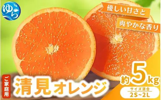 ≪家庭用≫  清見 オレンジ 5kg  / くだもの 甘い きよみ 柑橘 果物 和歌山 ※2027年3月上旬～3月中旬頃に順次発送予定 【nktn011-c-5】