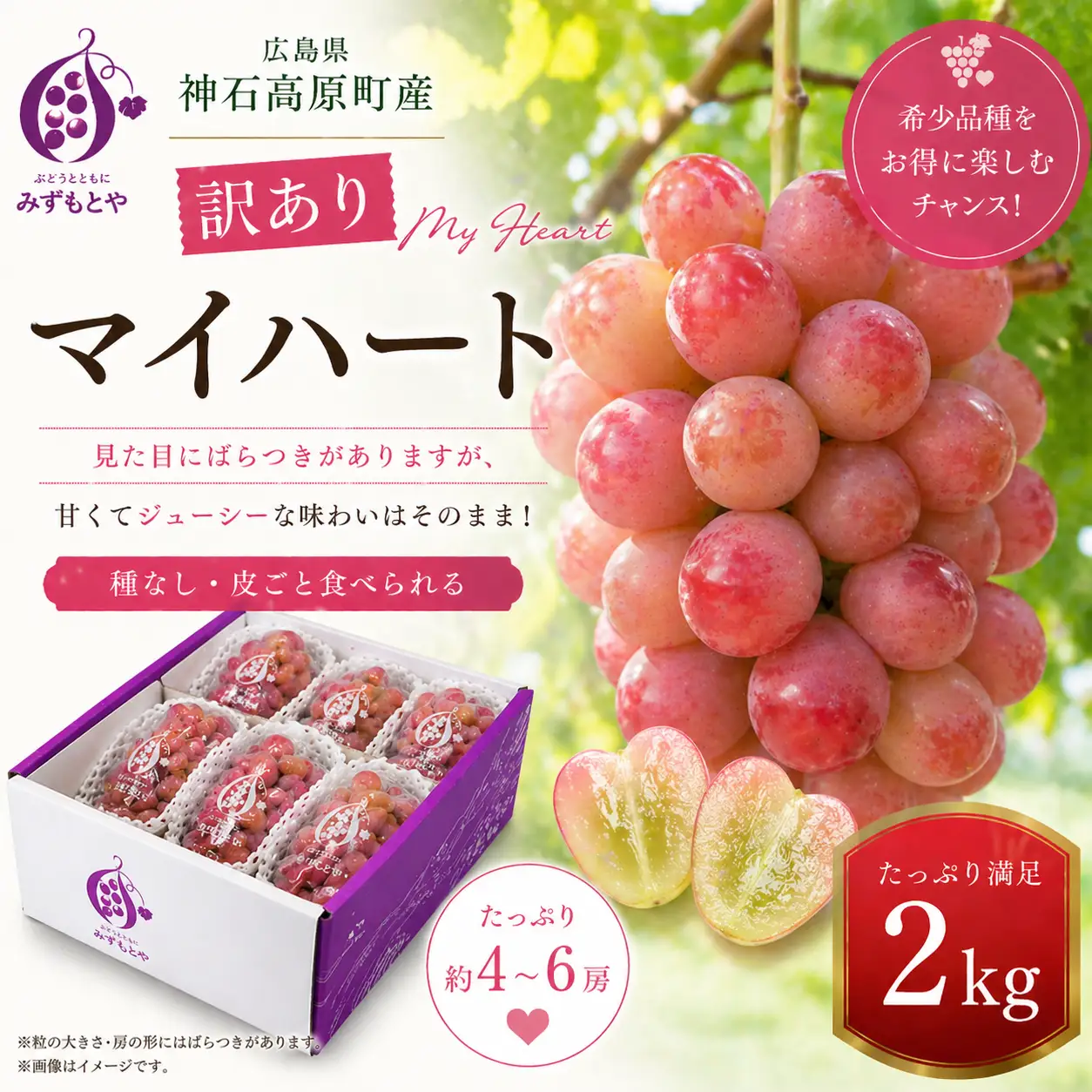 【先行予約】＜訳あり＞ 神石高原町産 マイハートぶどう 約2kg｜ハート形が特徴の希少品種《9月中旬-11月中旬出荷予定(土日祝除く)》（ご家庭用）