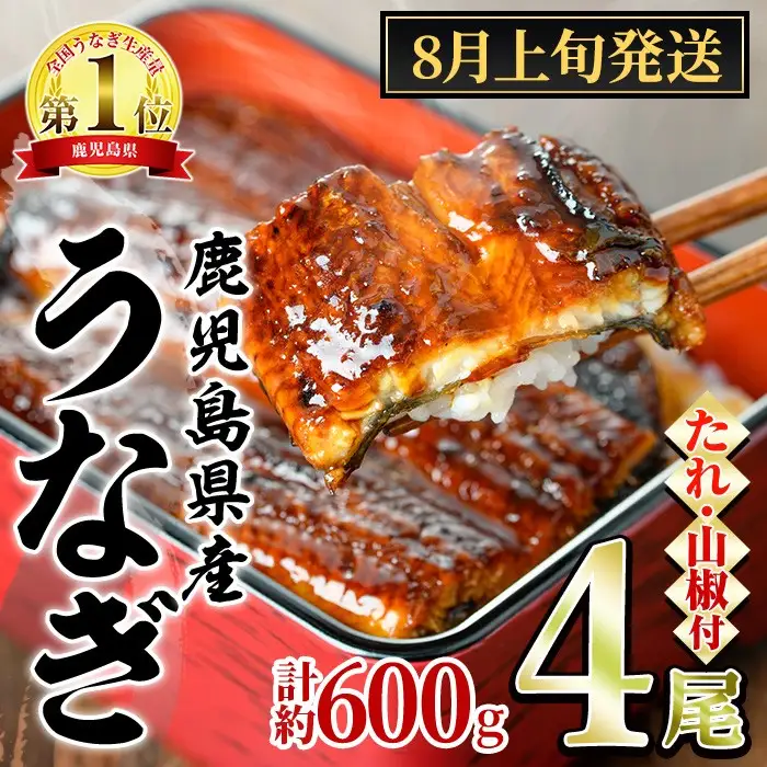 【0204348a-2608】＜8月上旬発送予定＞東串良町のうなぎ蒲焼(無頭)(4尾・計約600g・タレ、山椒付) うなぎ 高級 ウナギ 鰻 国産 蒲焼 蒲焼き たれ 鹿児島 ふるさと 人気 【アクアおおすみ】
