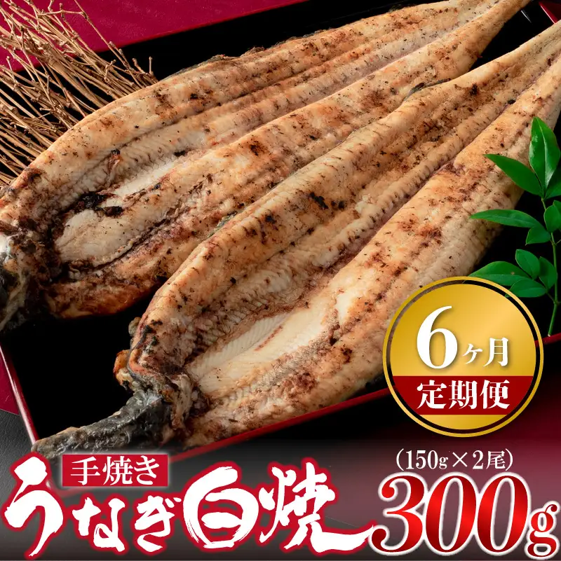 【6ヶ月定期便】九州産手焼きうなぎ白焼き 2尾（約300g） [M984-1]