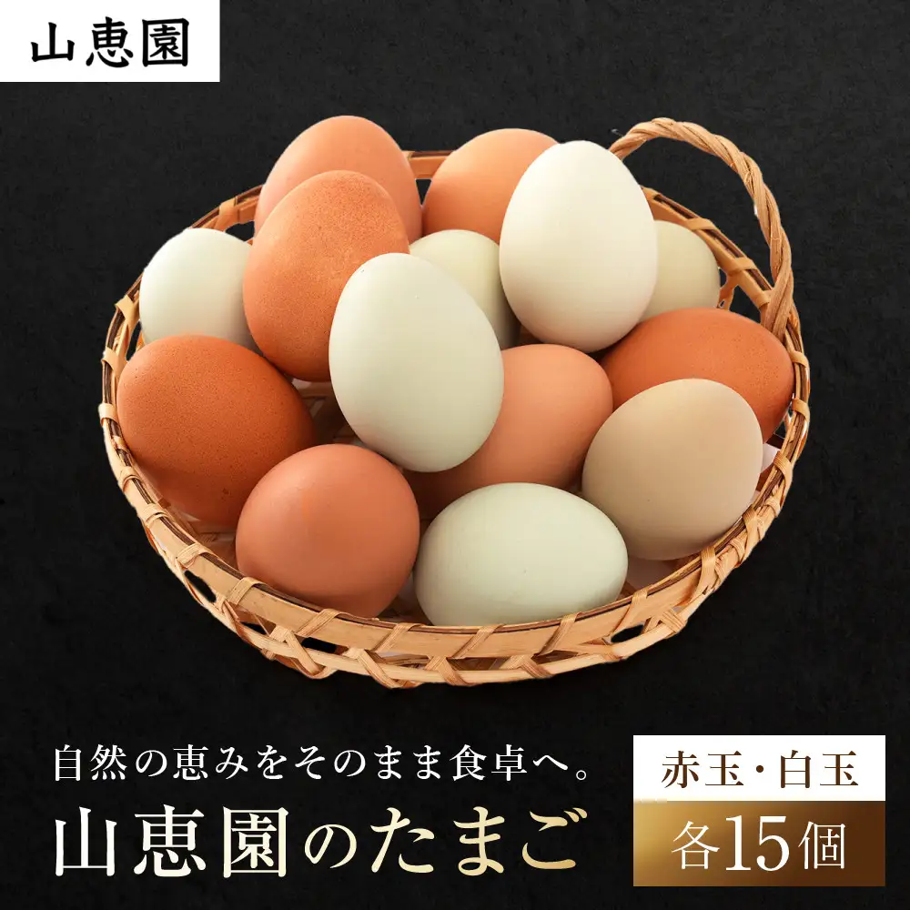 山恵園のたまご （赤玉15個＋白玉15個）| たまご 卵 赤玉 白玉  鶏卵 養鶏場 湯河原町