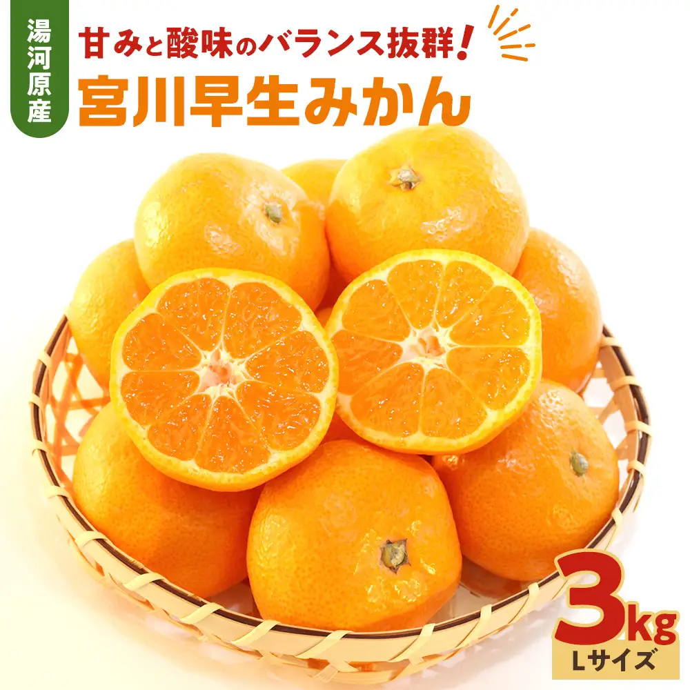 甘みと酸味のバランス抜群・宮川早生みかん　3kg(Lサイズ) | 湯河原町 Lサイズ 3kg 宮川早生みかん 果物 旬 みかん フレッシュ