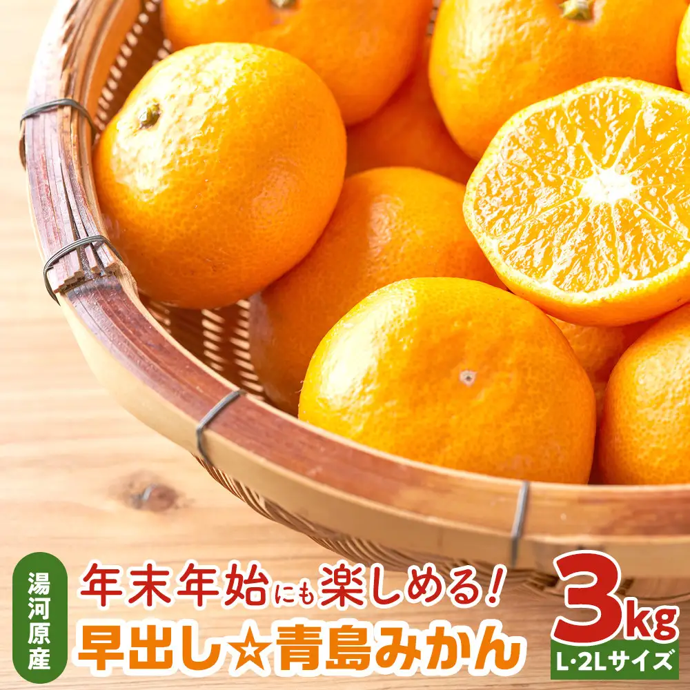 年末年始にも楽しめる　早出し　青島みかん　3kg  | 湯河原町 青島みかん 3kg フルーツ 蔵出し貯蔵 濃厚
