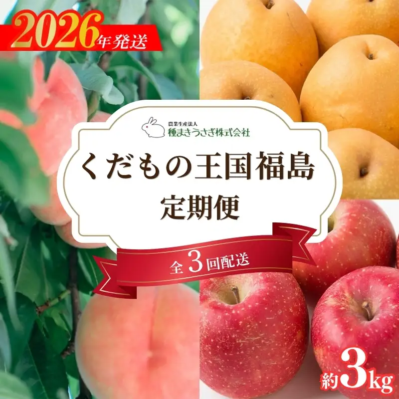 No.3319 くだもの王国 福島 もも 梨 りんご 定期便 全3回お届け 各回約3kg【2026年発送】