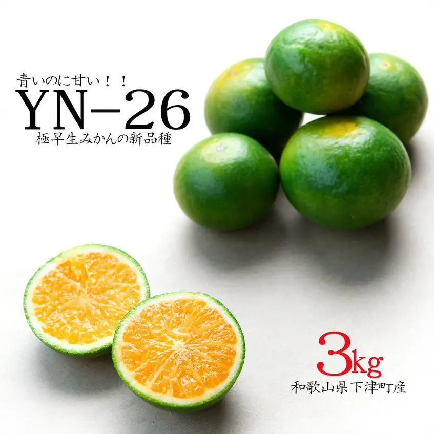 極早生みかん 約3kg 2S・S・Mサイズ 和歌山県産 農園直送 まごころ産直みかん 【9月より順次発送】【北海道・沖縄県・一部離島 配送不可】YN26 ゆら早生 和歌山 ミカン 蜜柑 果物 フルーツ 贈答用 少量サイズ 厳選［Mg33］