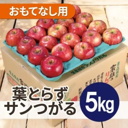 【26年9月から順次発送】平均糖度12度以上! 葉とらずサンつがる 約5kg おもてなし用 青森県産【配送不可地域：離島・沖縄県】【1734898】