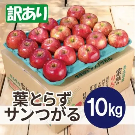 【26年9月から順次発送】平均糖度12度以上! 葉とらずサンつがる 約10kg 訳あり 青森 りんご【配送不可地域：離島・沖縄県】【1734908】