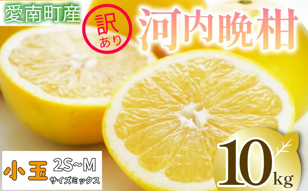  訳あり 河内晩柑 10kg 小玉 2S M サイズミックス 家庭用 愛媛県 愛南町 清家ばんかんビレッジ