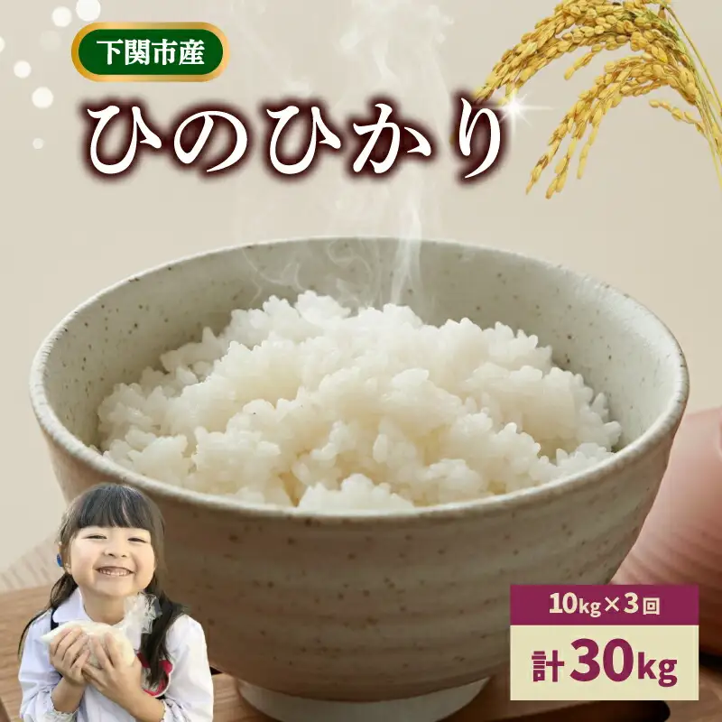 【定期便 3ヶ月】令和7年産 米 ひのひかり 10kg 下関 山口 LO002-A