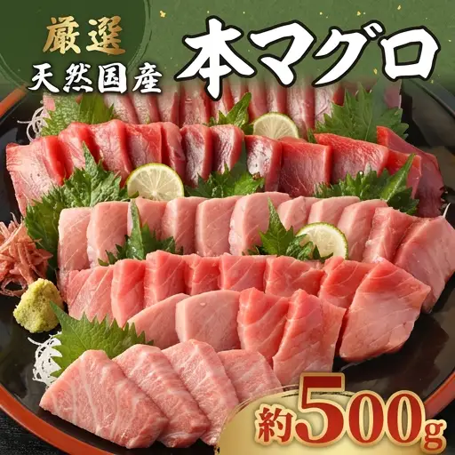【数量限定】 厳選 天然本マグロ 中トロ・大トロ 500ｇ以上 国産 鮮魚 マグロ 魚 刺身 刺し身 漬け丼 海鮮丼 おかず 魚介類 海鮮 海産物 まぐろ 本まぐろ 鮪 ブロック 惣菜 冷凍 美阿丸 高知県 室戸市