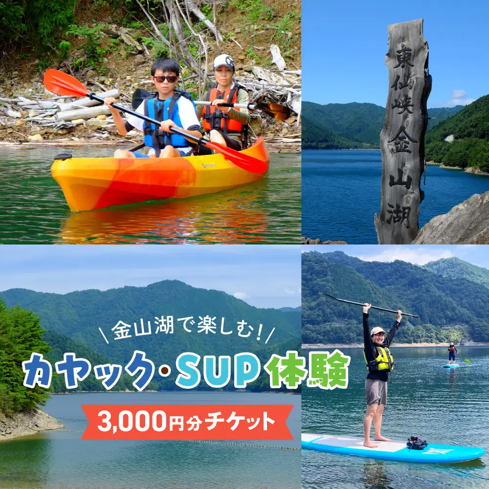 【金山湖カヤック・SUP体験】体験で利用できるチケット（3,000円分）サップ カヤック【a036-1】