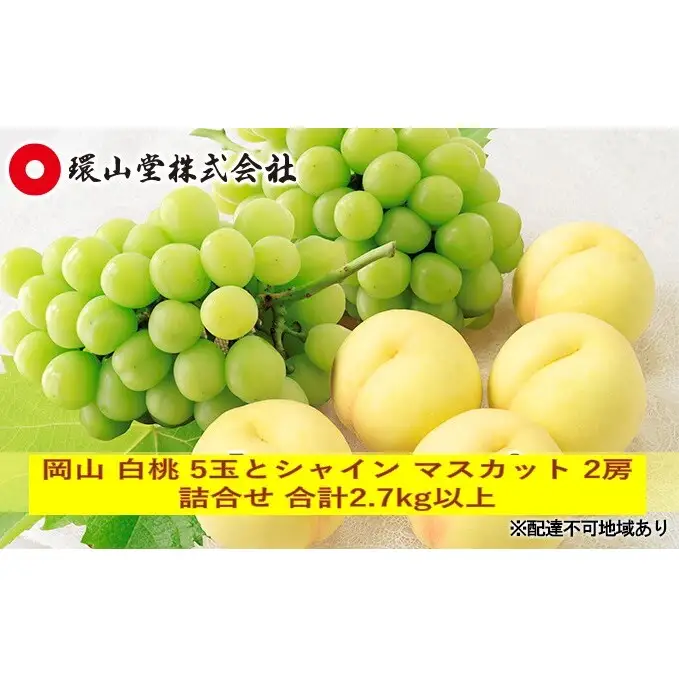 桃 ぶどう 2026年 先行予約 岡山 白桃 5玉とシャイン マスカット 2房 詰合せ 合計2.7kg以上 もも 葡萄 岡山県産 国産 フルーツ 果物 ギフト 環山堂