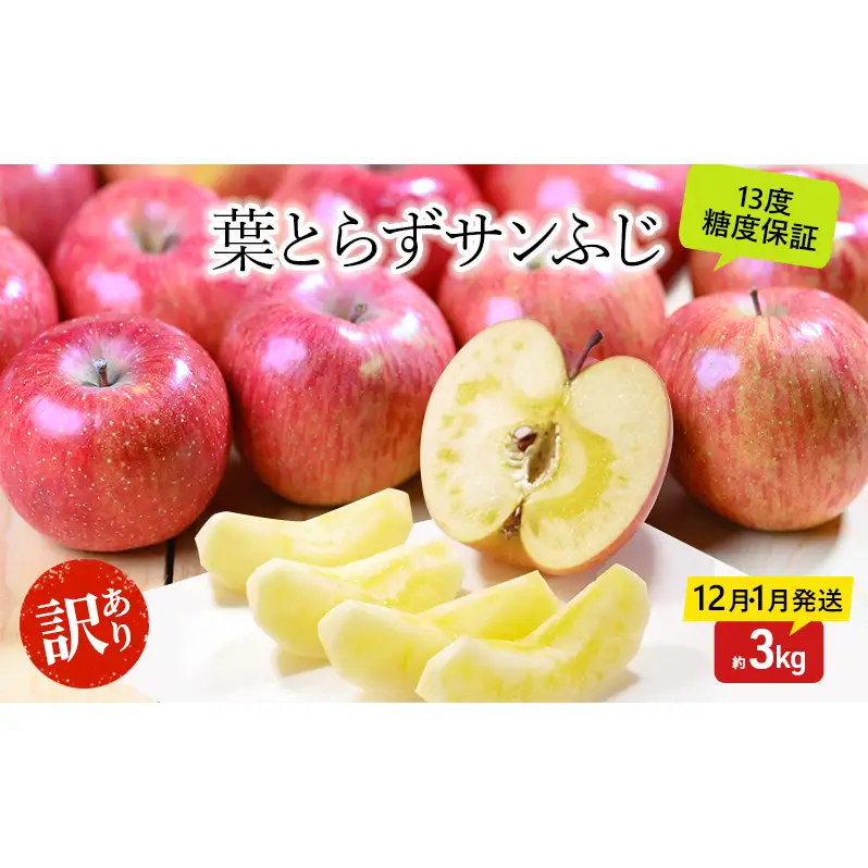 りんご 【12月・1月発送】 蜜入り 糖度13度以上  訳あり品 家庭用 葉とらず サンふじ 約 3kg 【 青森りんご 】 果物 フルーツ 産地直送 糖度測定 褐変 チェック 贈り物 年末 挨拶