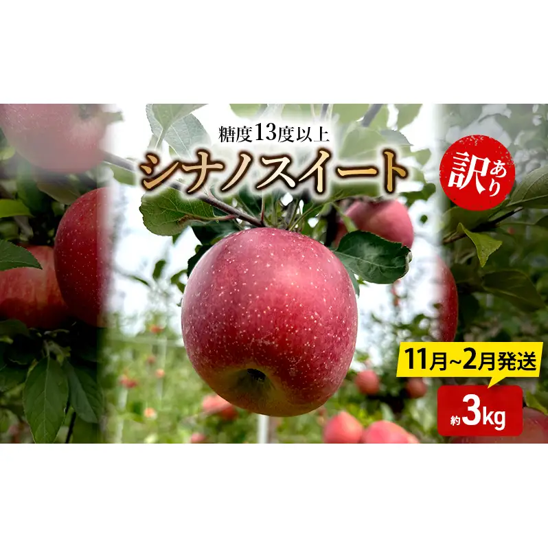 りんご【11月～2月発送】糖度13度以上 訳あり品 家庭用 シナノスイート 約3kg【青森りんご】
