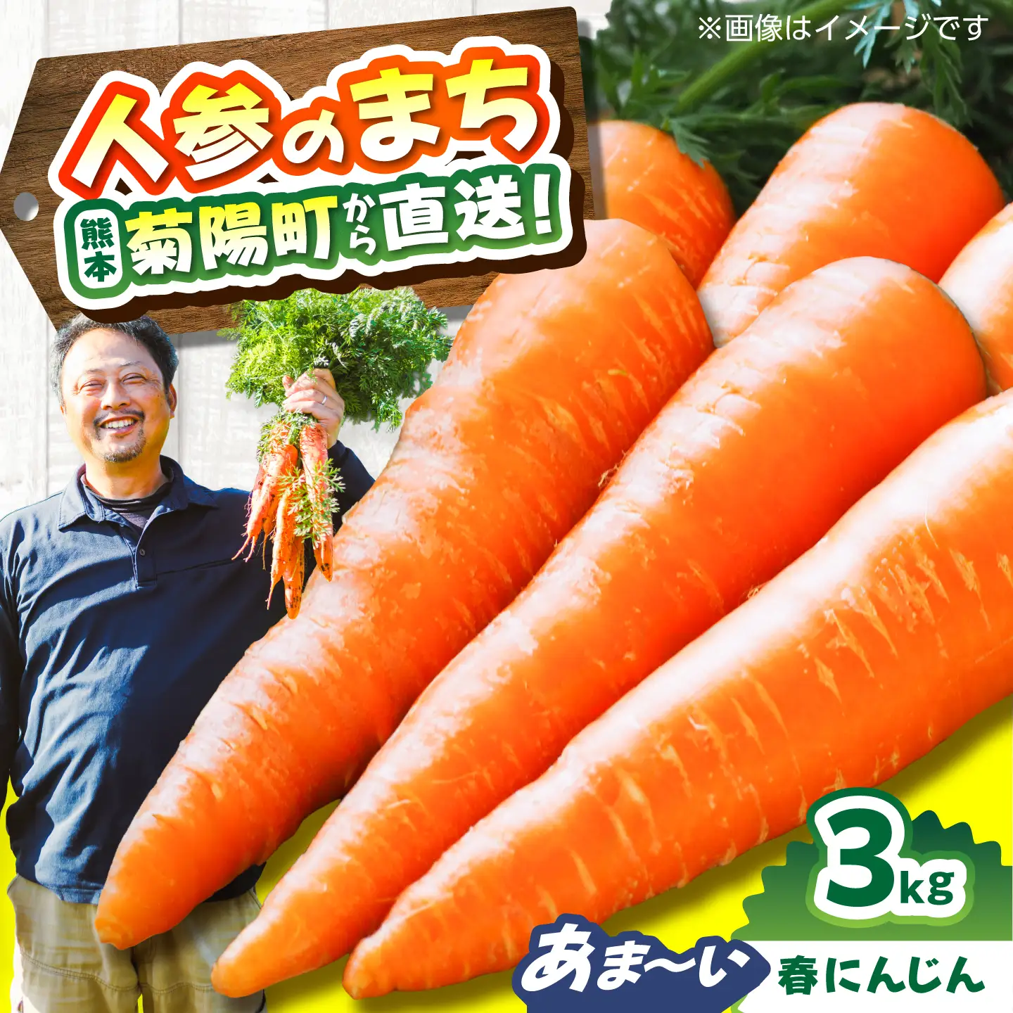 菊陽春にんじん 秀品 3kg / にんじん アロマレッド 翔彩 菊陽にんじん