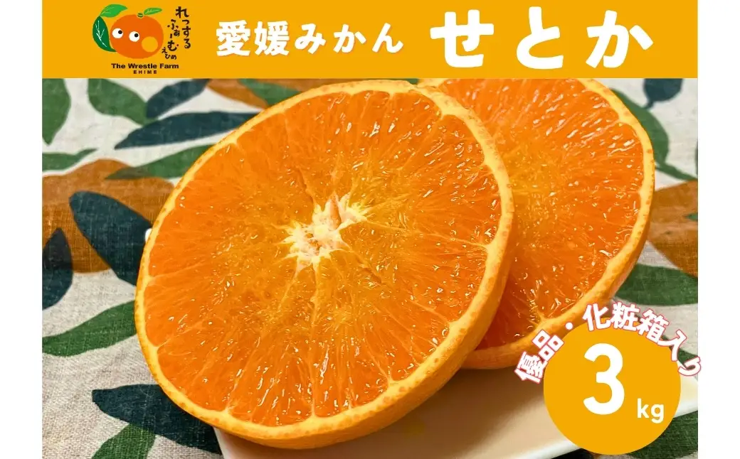 【2027年先行予約】みかん 愛媛県 せとか 3kg 優品 12～15個 レッスルファーム 【2027年1月中旬以降発送】 数量限定 おすすめ 美味しい おいしい グルメ フルーツ くだもの 愛媛県産 人気 柑橘 伊予市｜B258