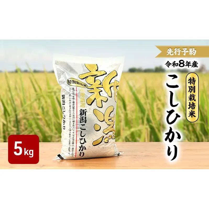 先行予約 令和8年 新潟県産コシヒカリ 特別栽培米 5kg 5キロ 上越市 三和区神田 富永農産 有機肥料 自家製たい肥