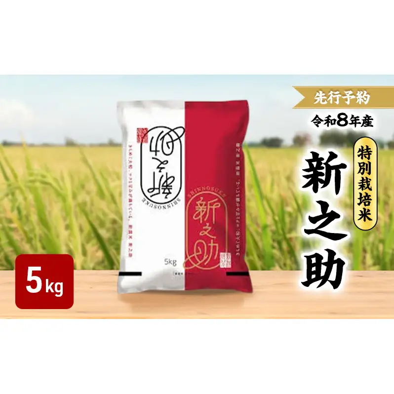 先行予約 令和8年 新潟県産新之助 特別栽培米 5kg 5キロ 上越市 三和区神田 富永農産 有機肥料 自家製たい肥