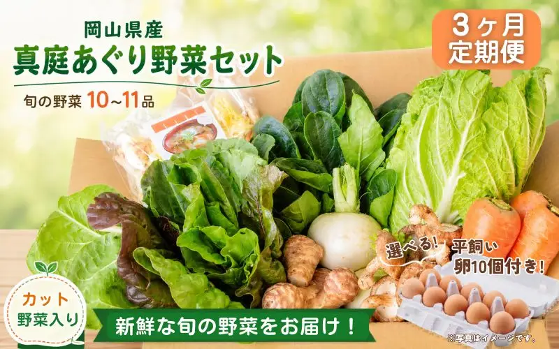 【3カ月定期便】真庭あぐり野菜セット カット野菜が1品入る 10～11品 平飼い卵付き / 産地直送 農家 お試し 岡山県 新鮮 あぐりガーデン 国産 【配送不可地域：北海道／沖縄県／離島】 【jujy-tkb062】