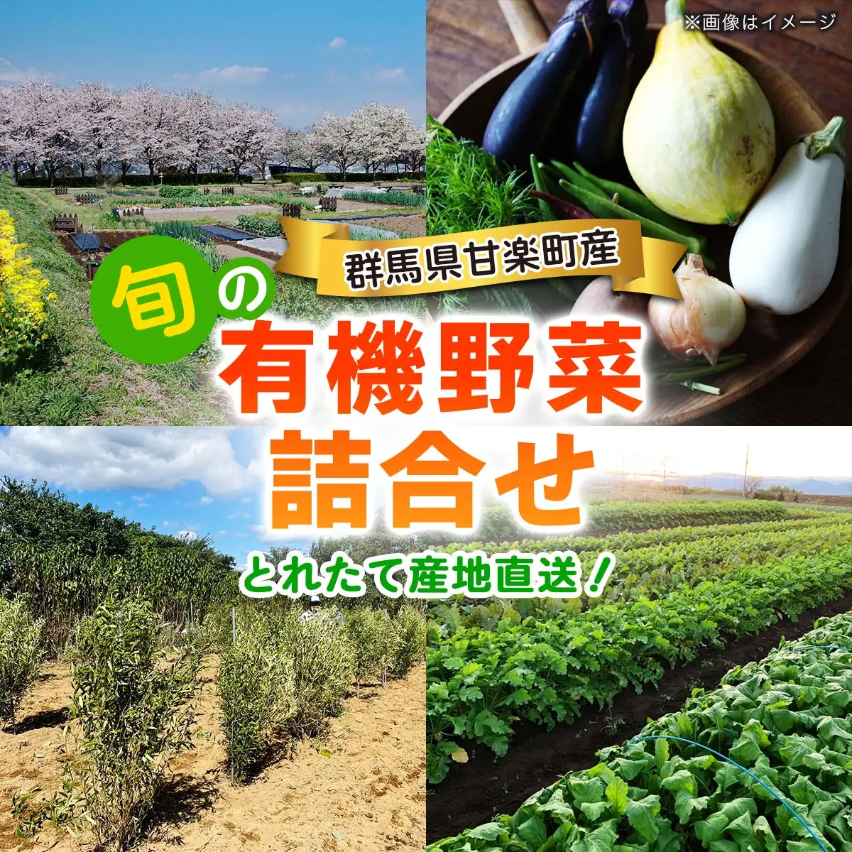 旬の有機野菜詰合せ／群馬県甘楽町産 [0350]
