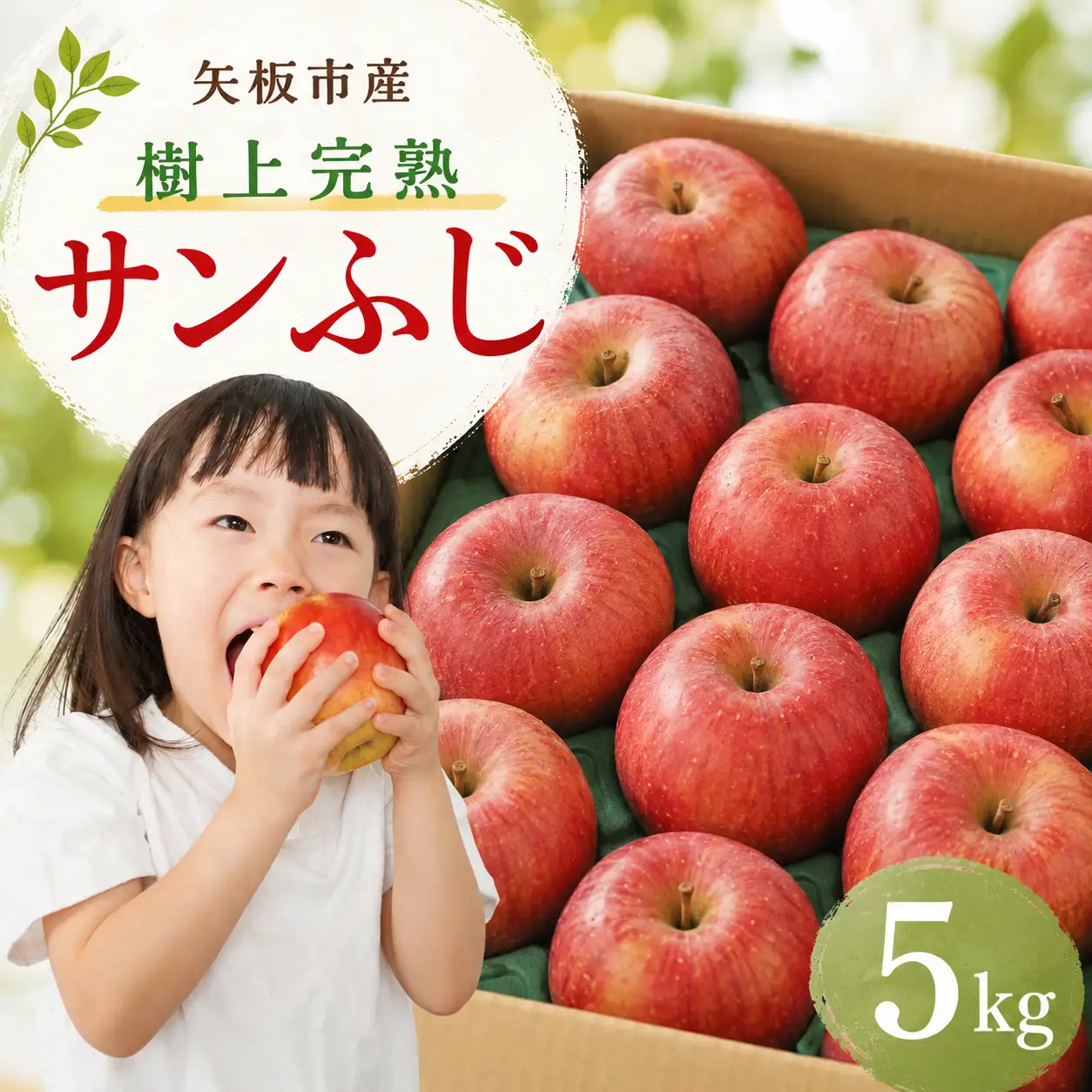 【数量限定】りんご 樹上完熟 サンふじ 5kg【2026年 先行予約】