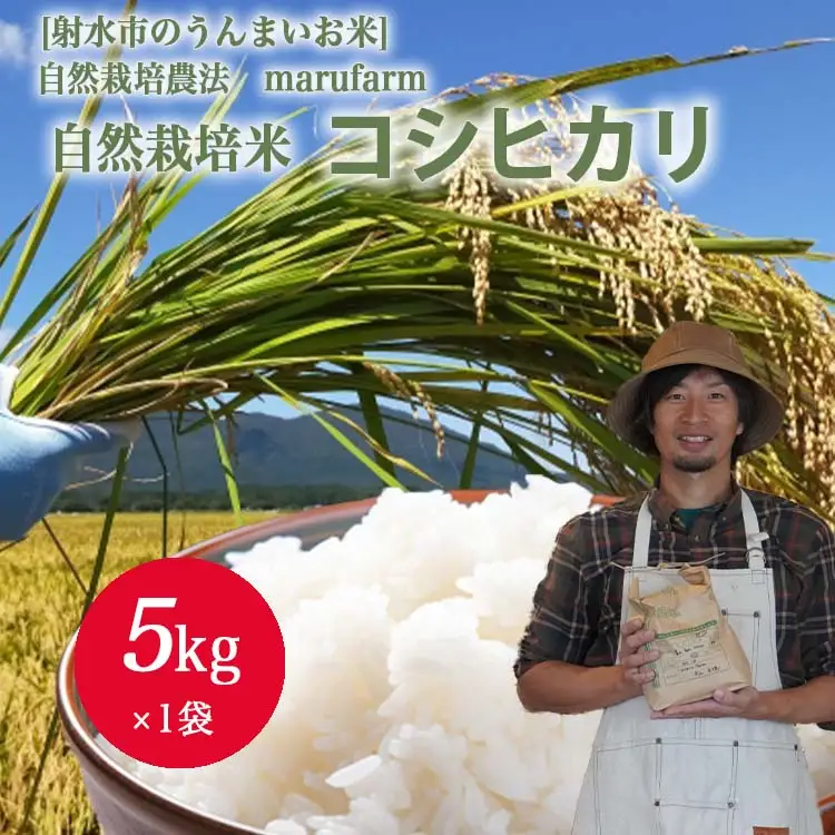 【射水の美味しいお米】【自然栽培農法】自然栽培農家 marufarm 自然栽培米「コシヒカリ」5kg ※2026年10月～発送