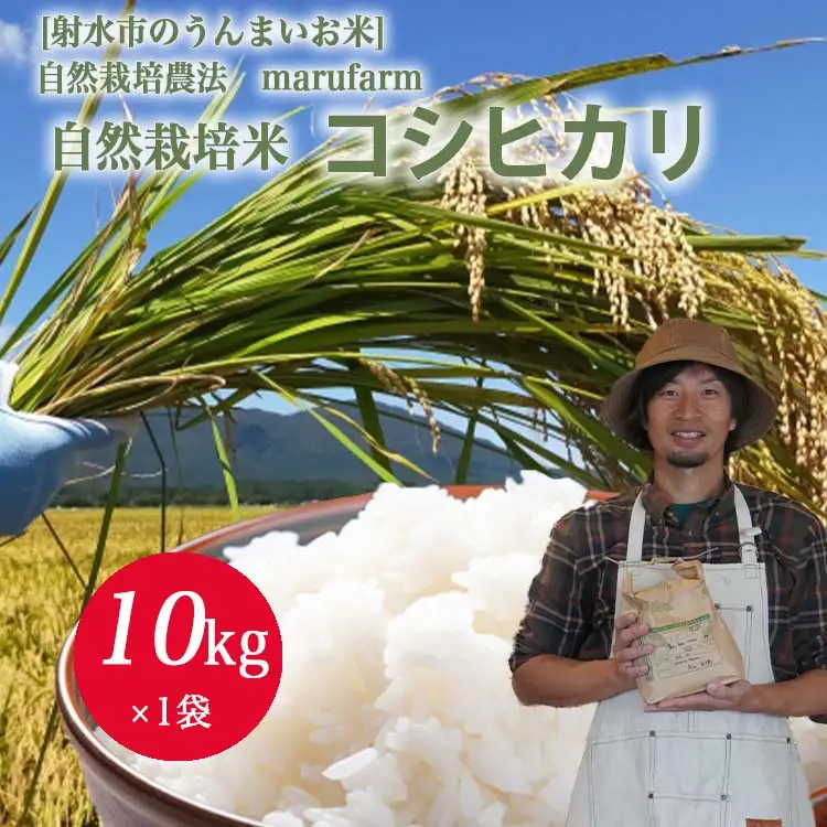 【射水の美味しいお米】【自然栽培農法】自然栽培農家 marufarm 自然栽培米「コシヒカリ」10kg ※2026年10月～発送