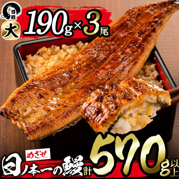 日ノ本一の鰻の蒲焼き＜大＞3尾セット(計570g以上) うなぎ 鰻 ウナギ 国産 鹿児島県産 九州産 蒲焼き 冷凍 うな重 ひつまぶし b8-022