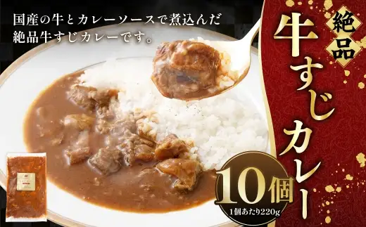 絶品牛すじカレー 10個入（220g×10個） すじ肉 煮込み 中辛 レトルト カレー 牛すじカレー 絶品 お肉 にく 肉 ニク 牛肉 牛 冷凍 カレーソース 国産