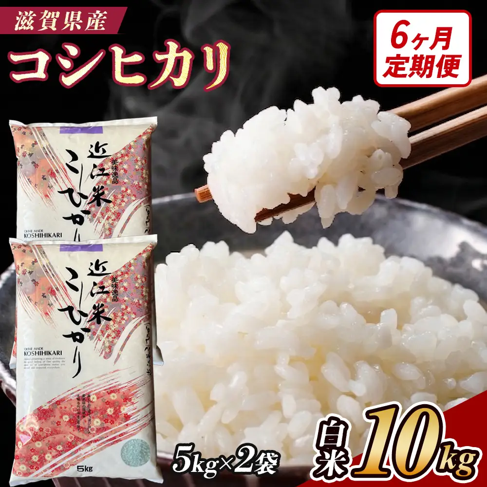 【6ヶ月定期便】【令和7年産】近江米コシヒカリ白米10kg（5kg×2袋）