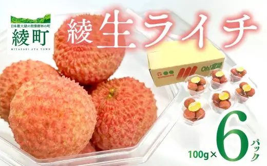 【数量限定】希少 綾生ライチ お裾分けセット [６パック] 宮崎県 綾町産 ライチ 国産ライチ 果物 フルーツ 生ライチ 産地直送 期間限定 送料無料 お中元 小分け 送料無料【JA綾町】_A0114-1051