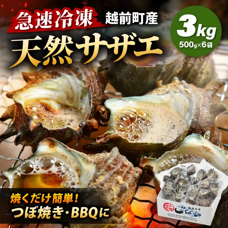 【先行予約】越前町産 天然 サザエ 3kg （500g×6袋）【2026年6月中旬より順次発送】【サザエ 海鮮】 [e15-b019]