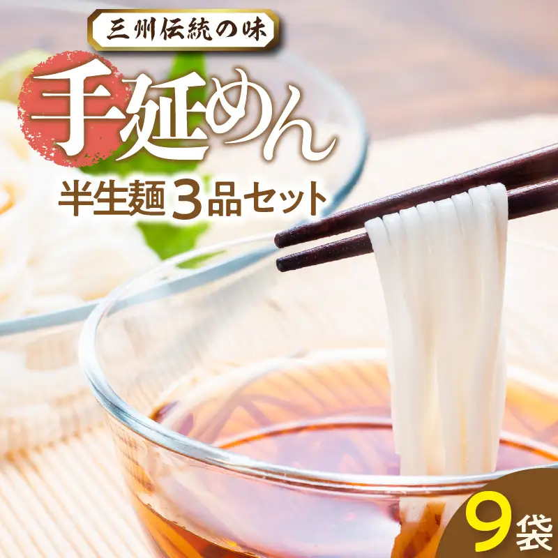 三州手延めん半生麺セット_12-217-1