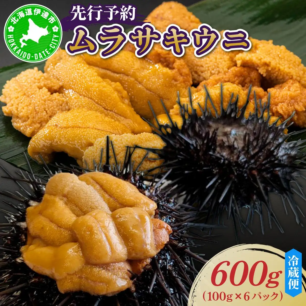 ＜先行予約＞ 北海道産 ムラサキウニ（正規品）600g【ogm-035】
