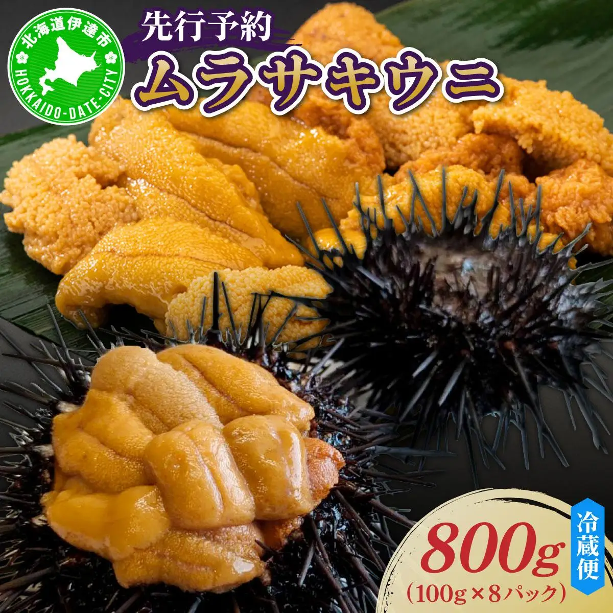 ＜先行予約＞ 北海道産 ムラサキウニ（正規品）800g【ogm-037】