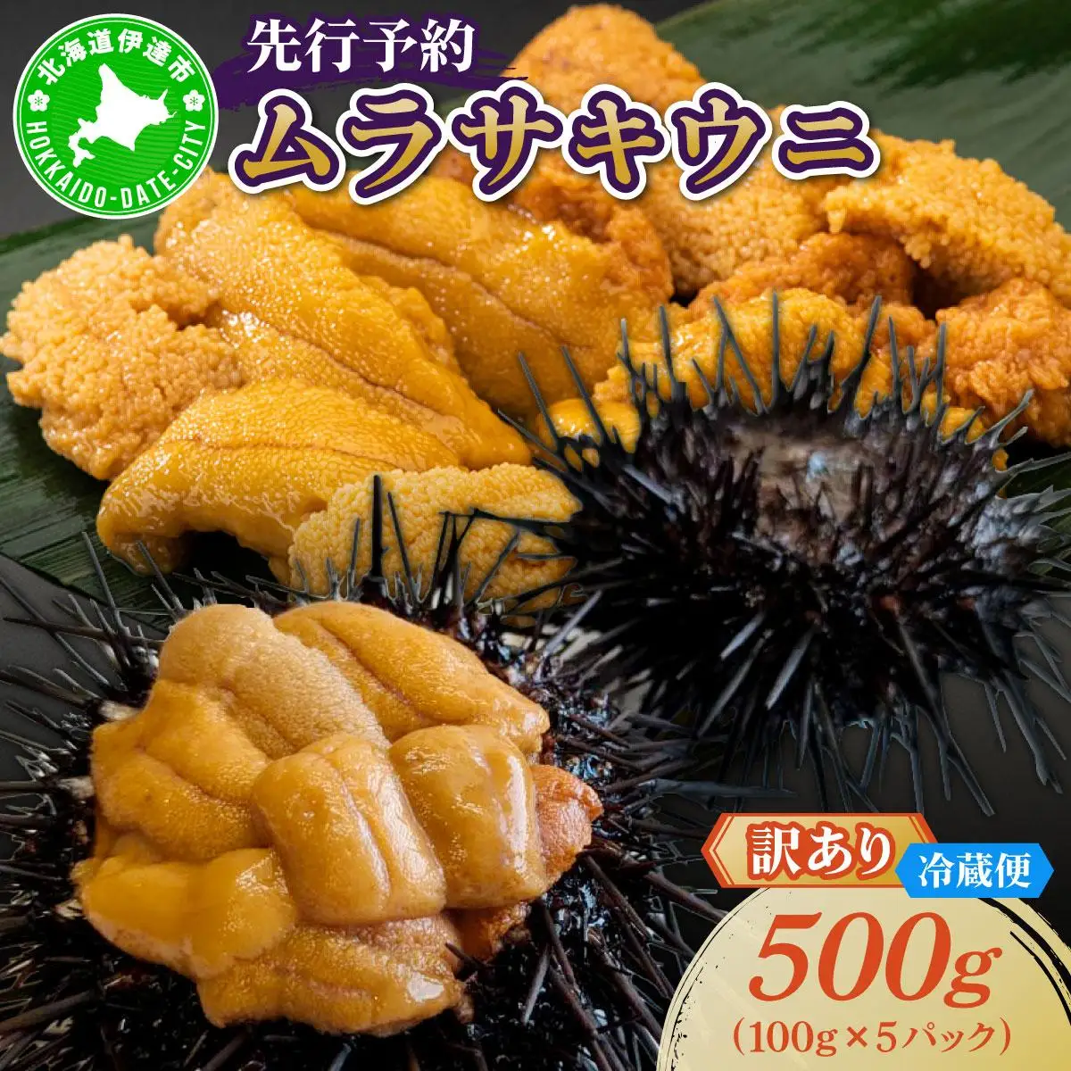 ＜先行予約＞ 北海道産 ムラサキウニ（訳あり）500g【ogm-043】