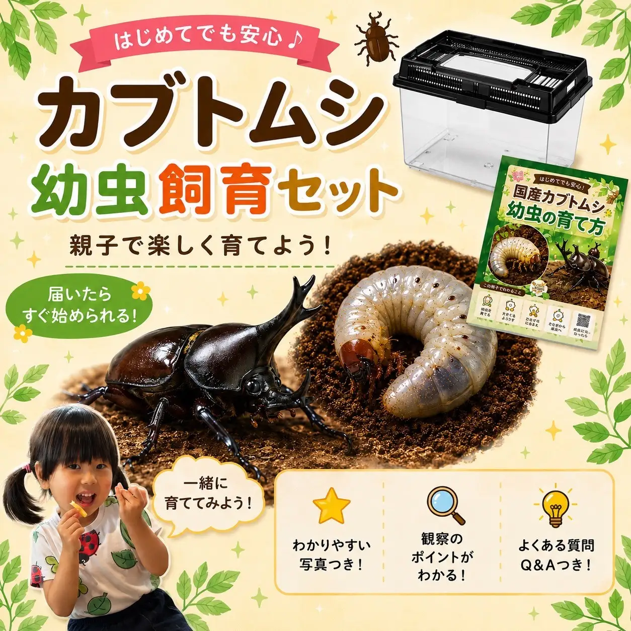 【虹色Farm】国産カブトムシ幼虫5匹観察セット(飼育キット付) ｜京都 カブトムシ 人気