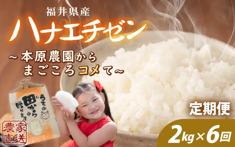 先行予約 定期便 6ヶ月連続お届け ハナエチゼン 2kg (1袋) × 6回 計12kg 白米 精米 ブランド米 2026年9月上旬以降順次発送予定 [B-8948]