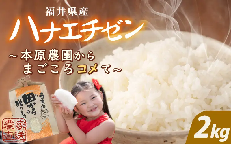 先行予約 ハナエチゼン 2kg (1袋) 白米 2026年9月上旬以降順次発送予定 [A-8988]