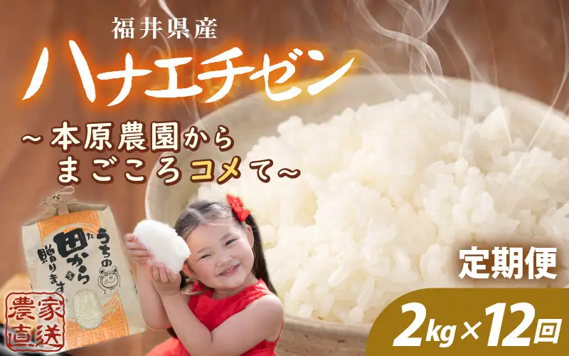 先行予約 定期便 12ヶ月連続お届け ハナエチゼン 2kg (1袋) × 12回 計24kg 白米 精米 ブランド米 2026年9月上旬以降順次発送予定 [E-8915]