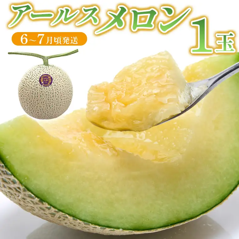 アールスメロン 1玉【6～7月頃発送】　メロン工房 川上