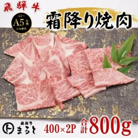 飛騨牛霜降り焼き肉 400g×2パック(合計800g)【配送不可地域：離島】【1735700】