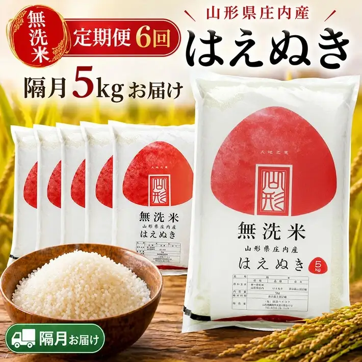 【隔月定期便】無洗米はえぬき5kg×6回隔月中旬発送 計30kg(7月～隔月6回) [1545T07]