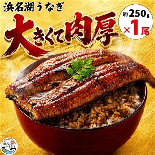 大豆イソフラボンで育てた浜名湖うなぎ蒲焼「やわら華」大きくて肉厚 (約250g×1尾)【配送不可地域：離島】【1729563】