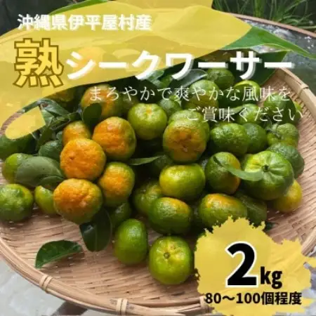 熟 シークワーサー 伊平屋村産 2kg【1564176】