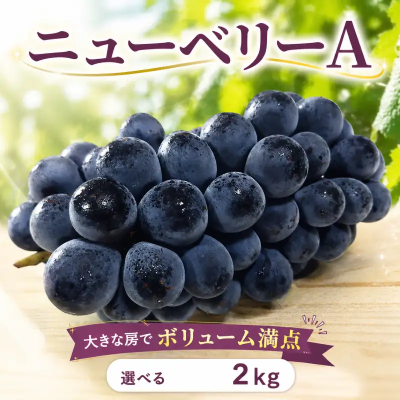 ぶどう ニューベリーA 2kg ぶどう